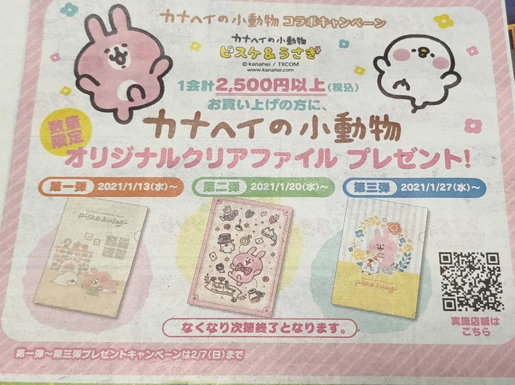 カナヘイファイルチラシ