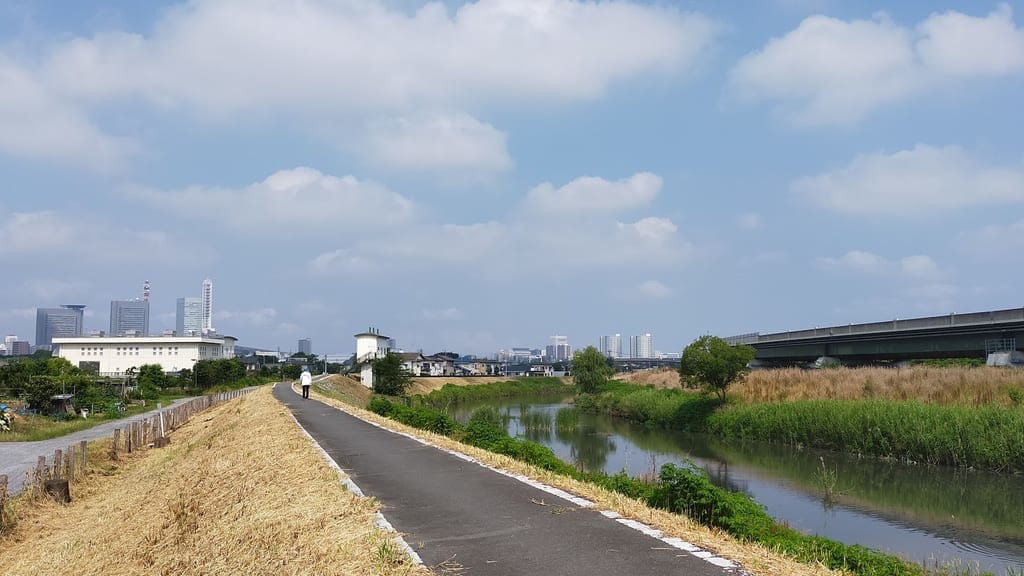 芝川遊歩道2