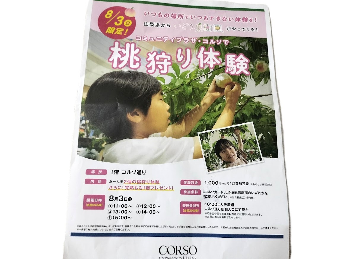 桃狩り　コルソ