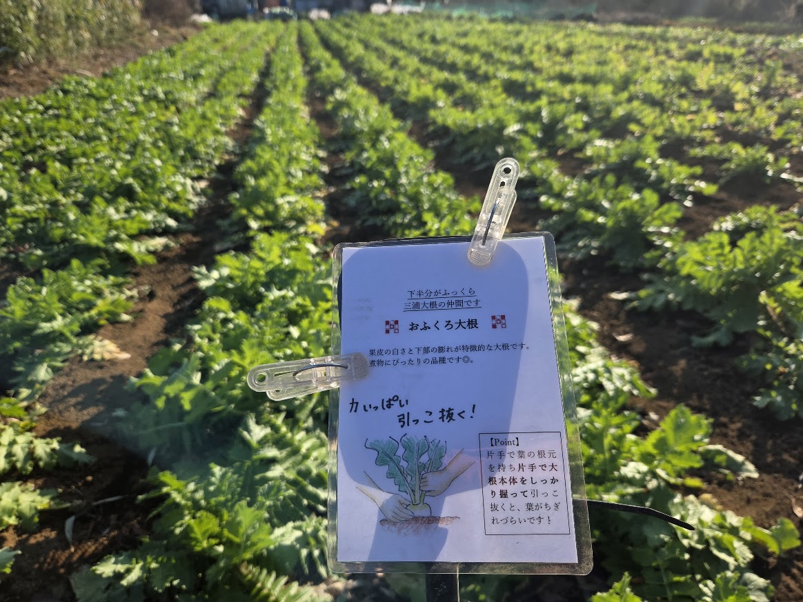 はたけビュッフェ2