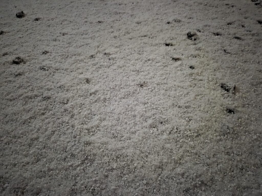 さいたま市　積雪2