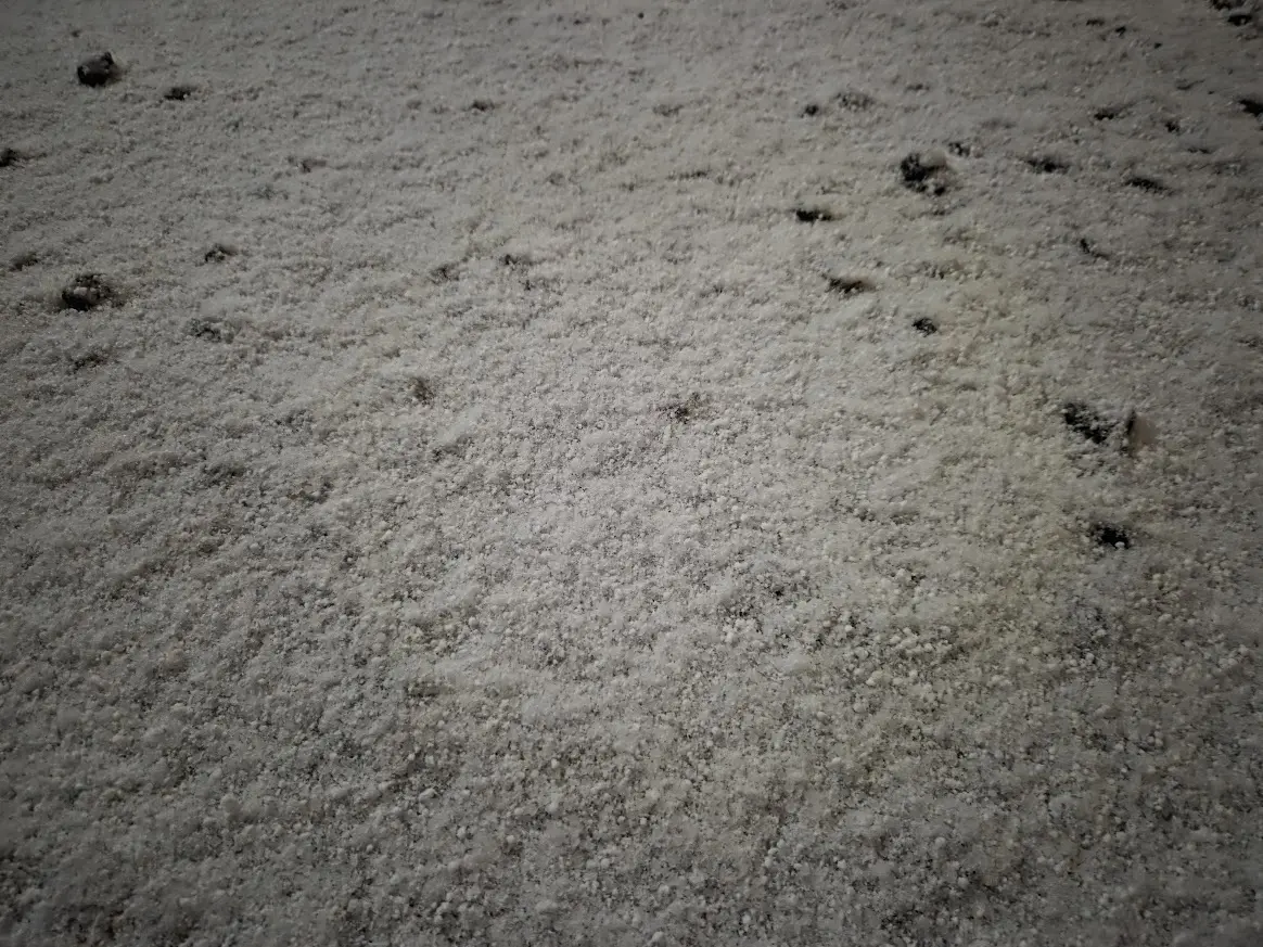 さいたま市　積雪2