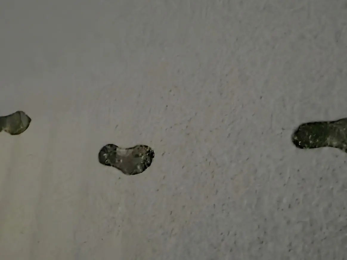 さいたま市　積雪