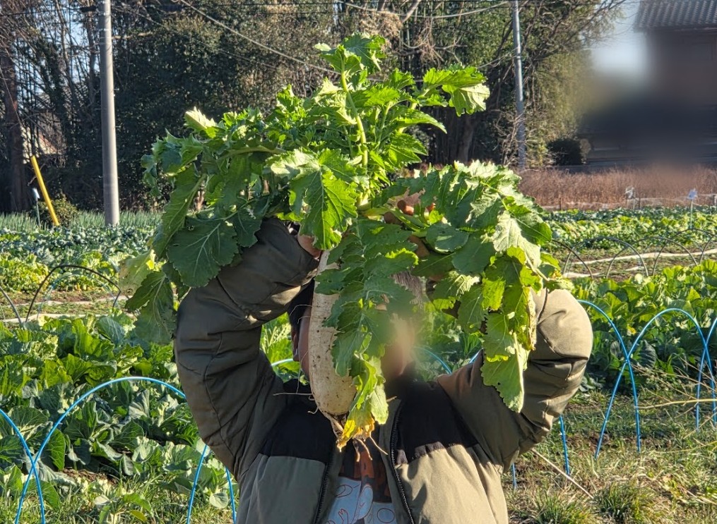 はたけビュッフェ6