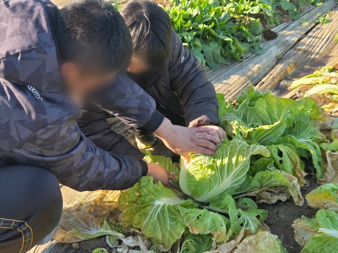 はたけビュッフェ5