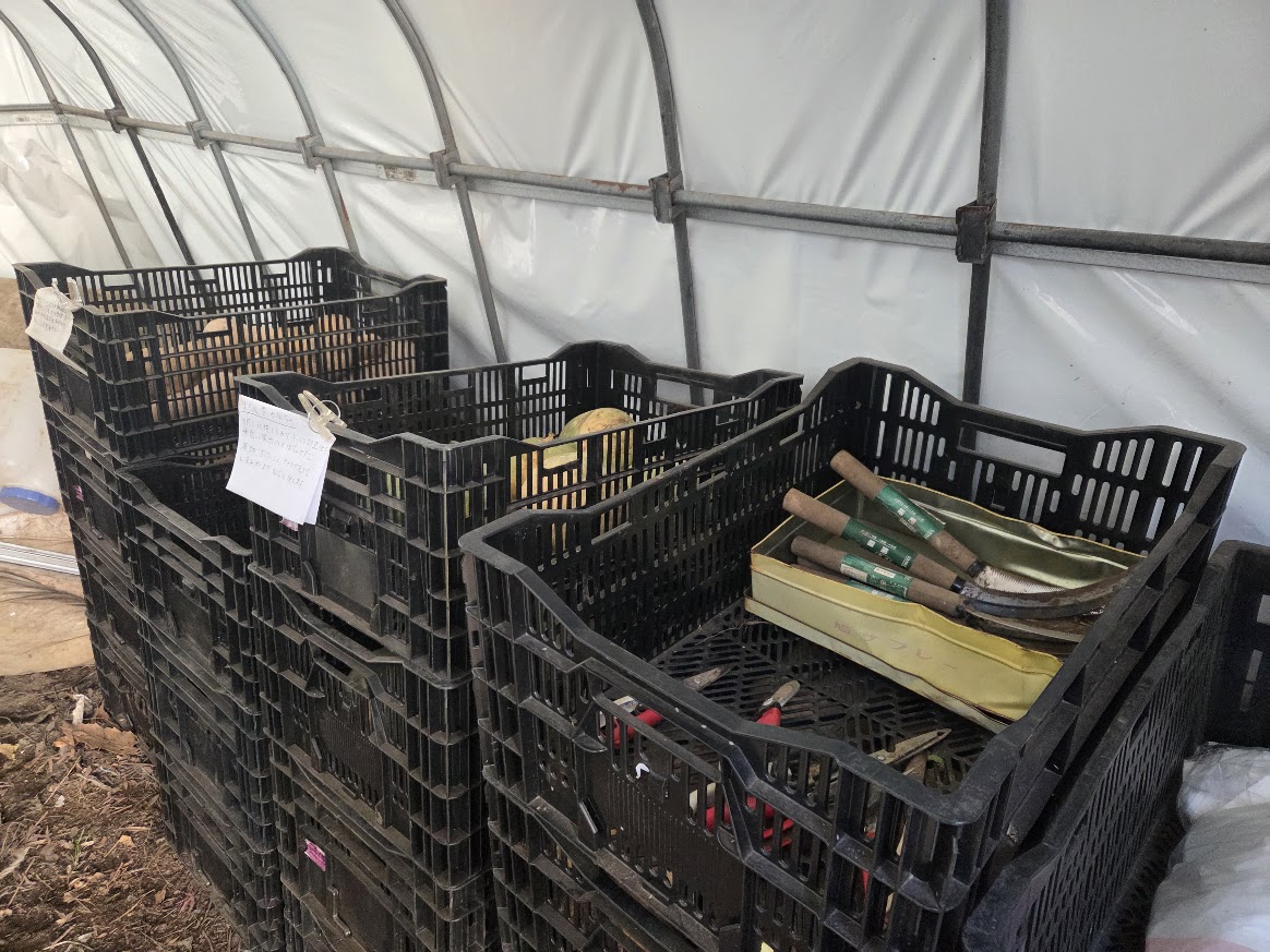 はたけビュッフェ4